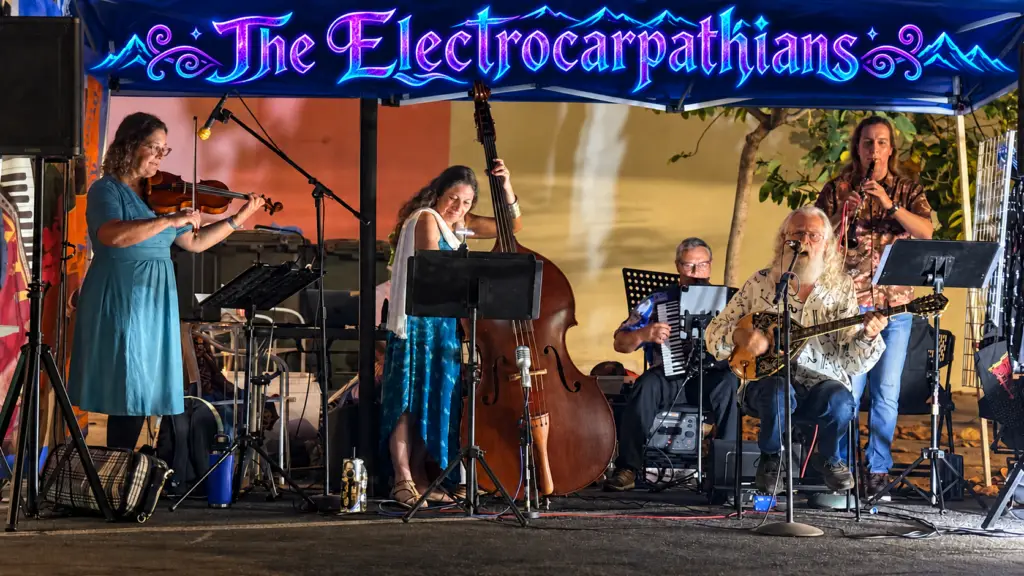 The Electrocarpathians